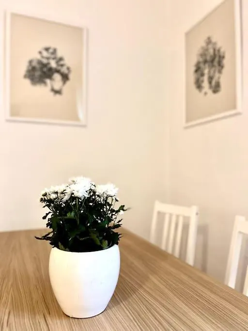 Apartment Elegante Appartamento In Centro Milan
